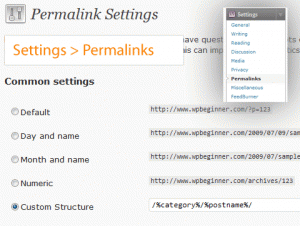 setting-permalink-Pros