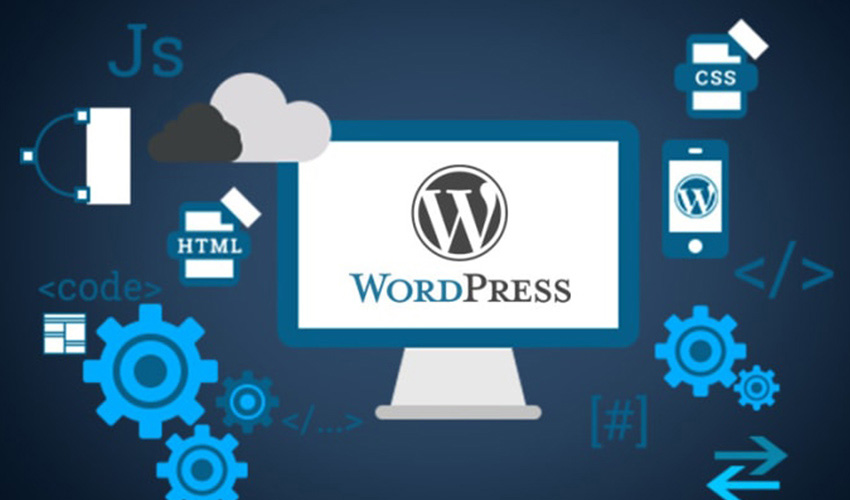 Best WordPress Developer in San Diego 1 internet marketing firm