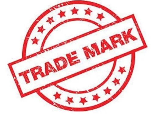 How to Report Trademark Infringement on Google Ads 2 digital marketing solutions