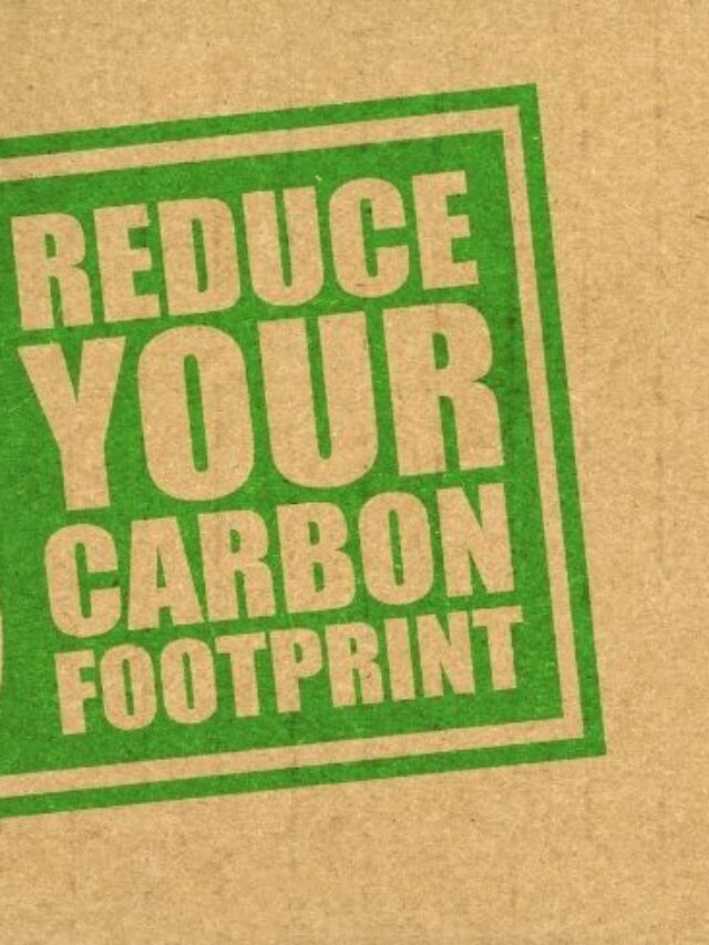 Ultimate Guide to Reducing Your Carbon Footprint